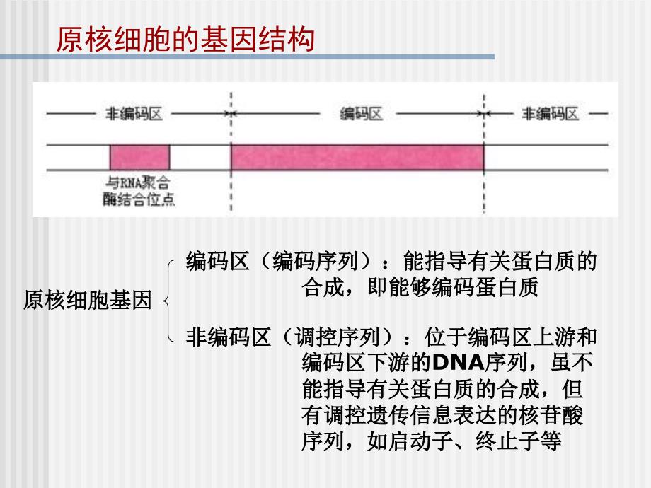 1.2.1操作程序_第2页