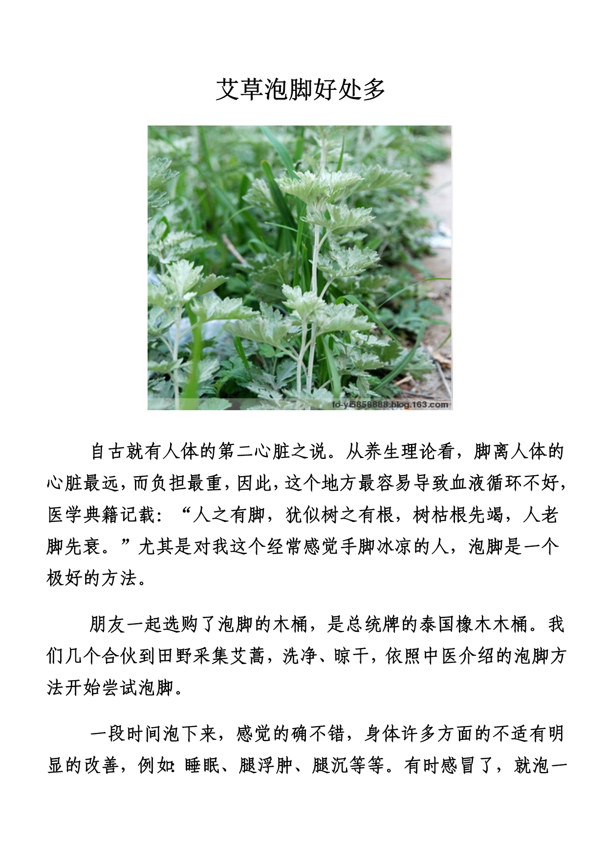 艾草泡脚好处多_第1页