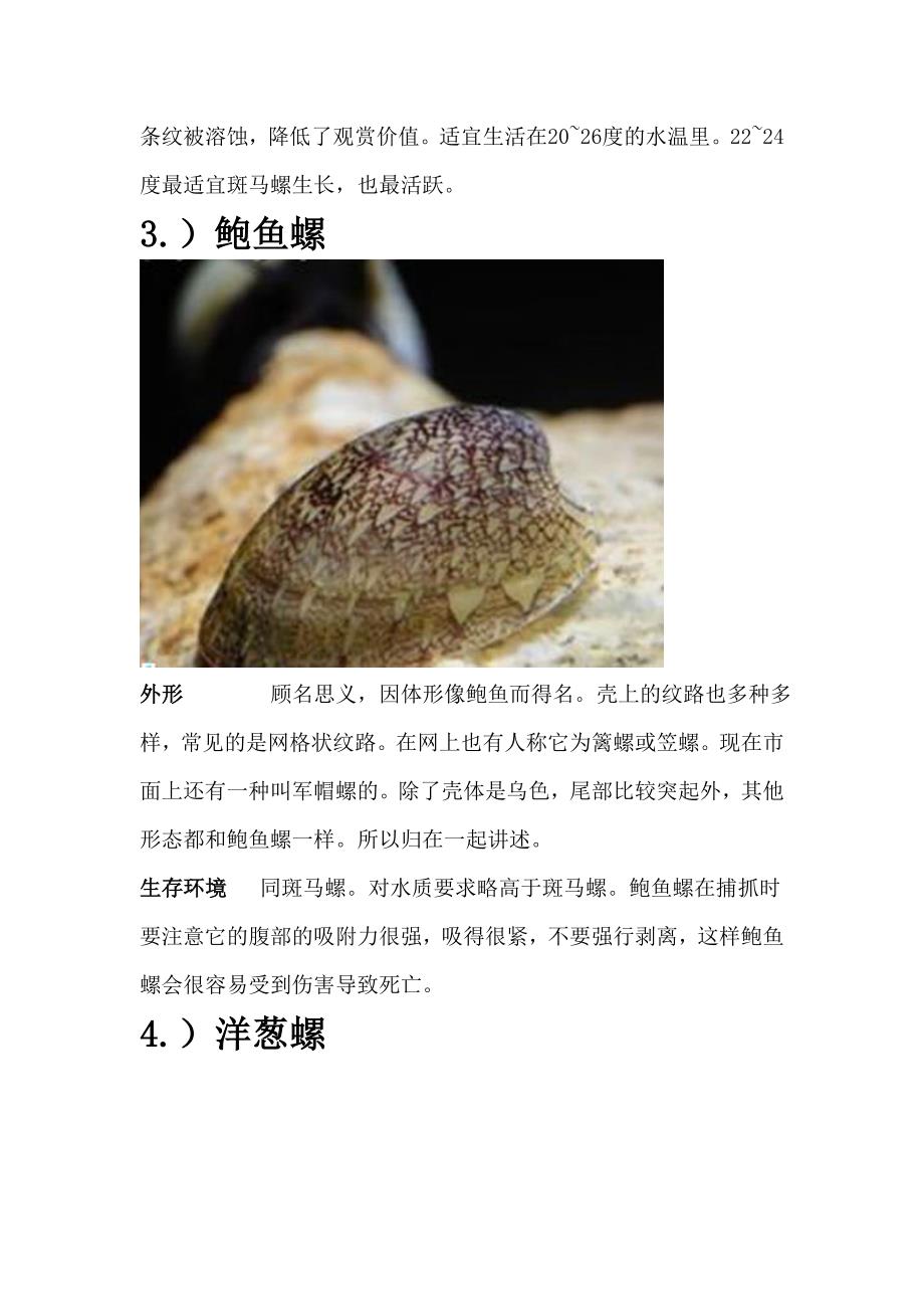 淡水螺-海水螺-汽水域螺-观赏螺-养螺条件_第3页