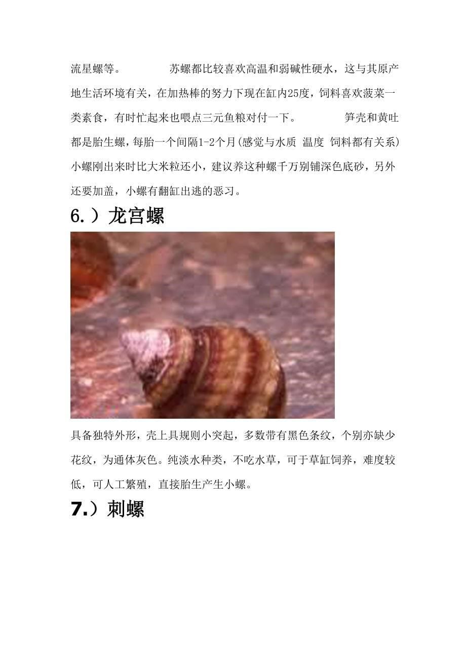 淡水螺-海水螺-汽水域螺-观赏螺-养螺条件_第5页
