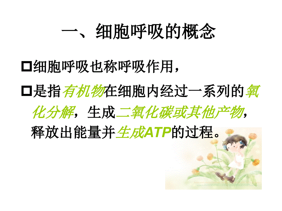 ATP的主要来源呼吸作用_第1页