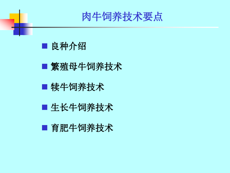 农训24-肉牛饲养技术_第2页