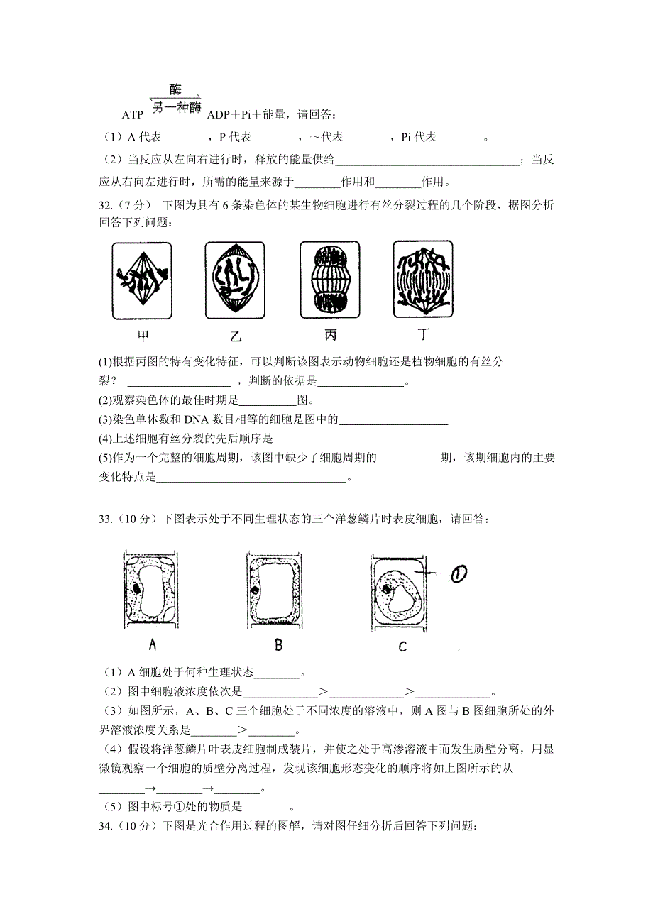 高一生物单元测试高一生物必修Ⅰ模块(新人教版)_第4页