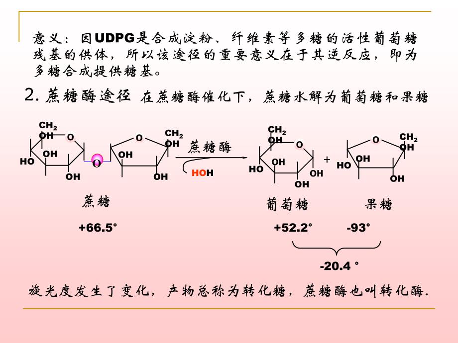 第6章糖代谢1_第3页