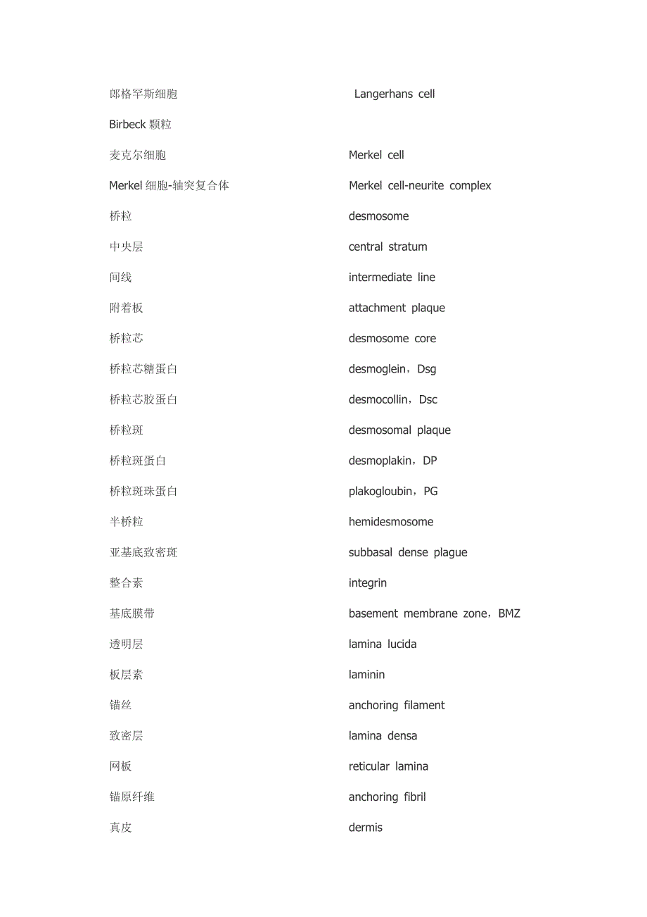 皮肤科专业英语词汇_第2页