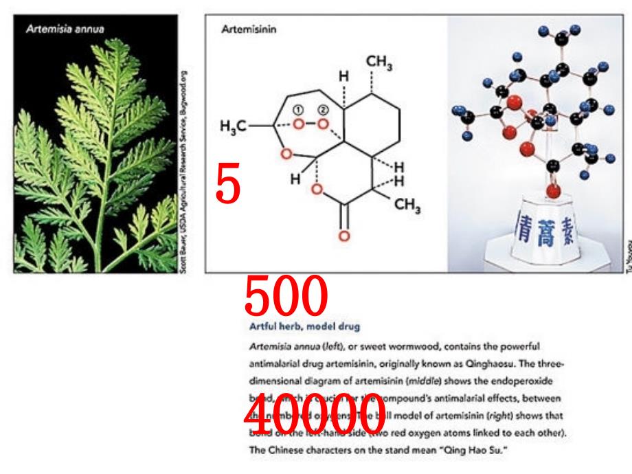 甲烷新课课件_第1页