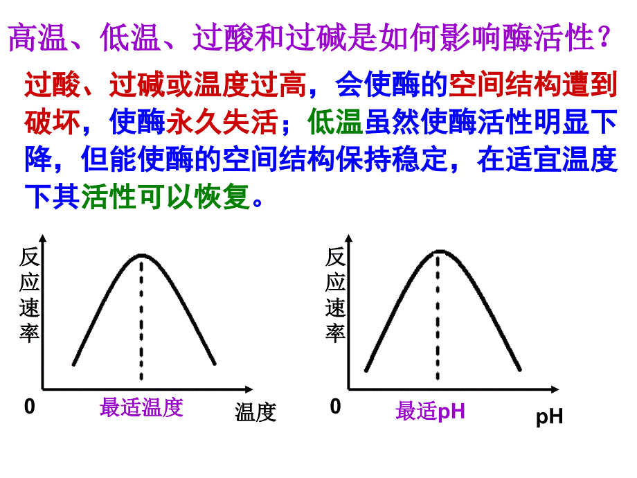 第5章细胞的能量供应和利用2_第2页