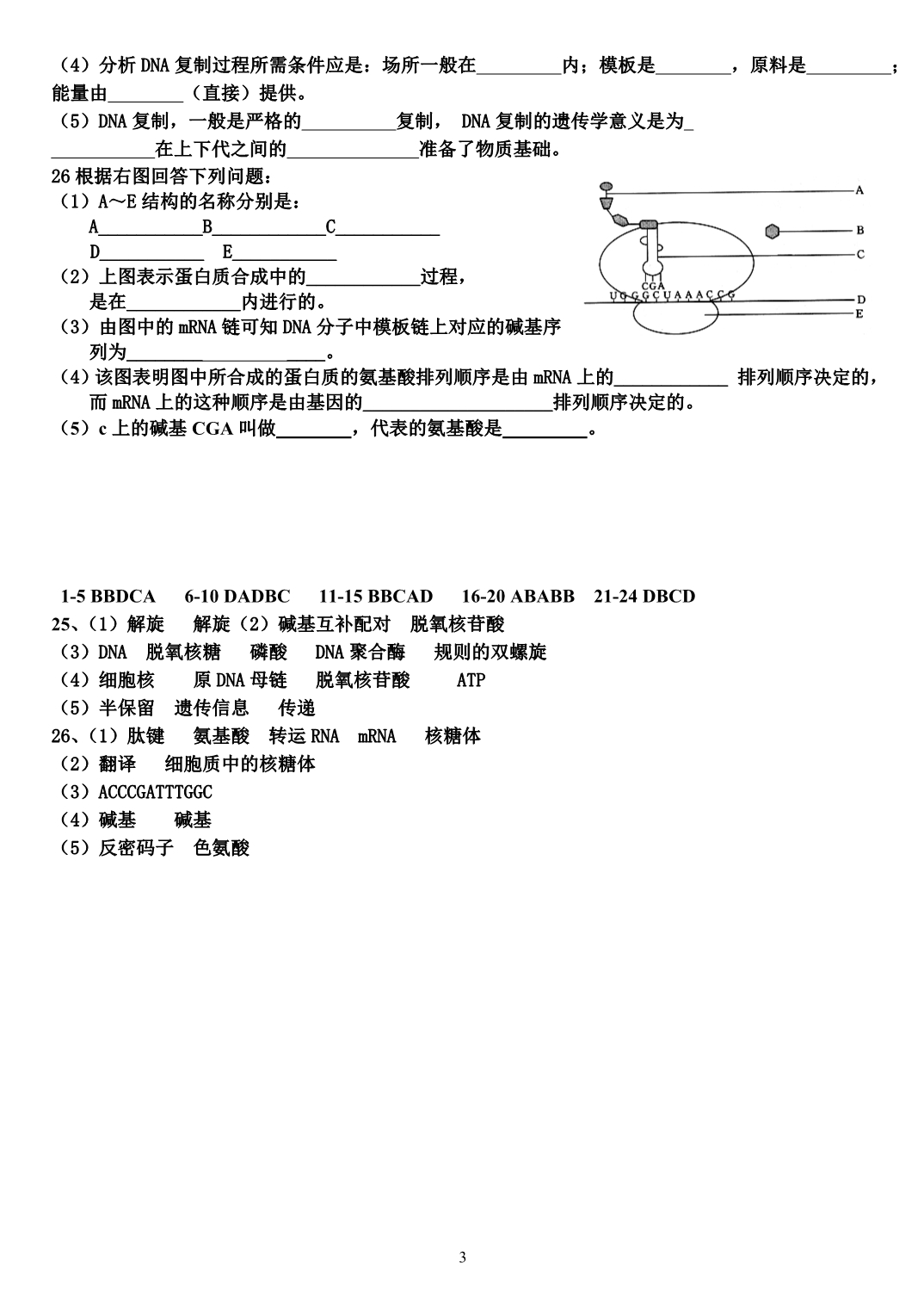 基因的本质、基因和染色体的关系 精品练习_第3页