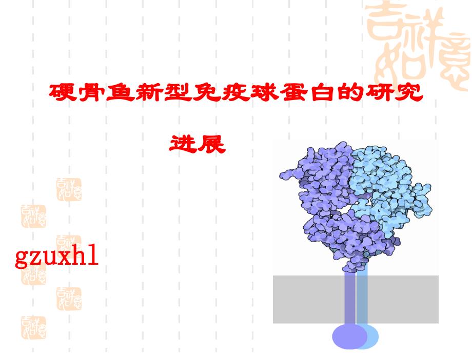 硬骨鱼类新型免疫蛋白的研究_第1页