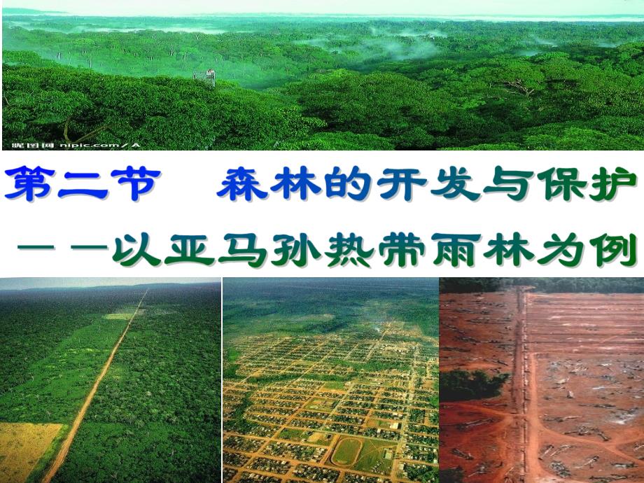 第二章第二节森林的开发与保护----以亚马孙热带雨林为例_第1页