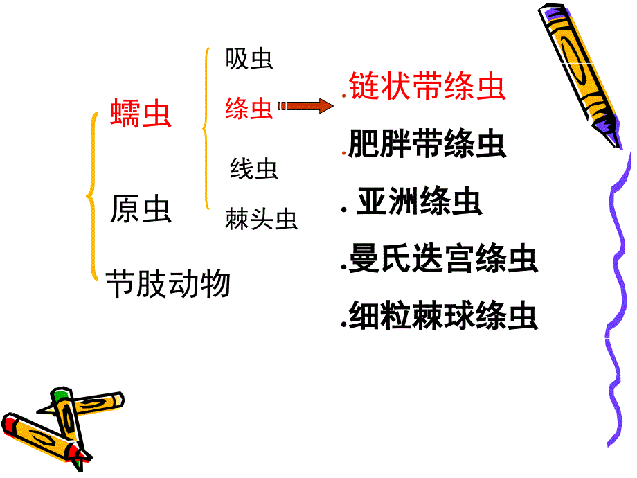 猪带绦虫研究进展4-2_第2页