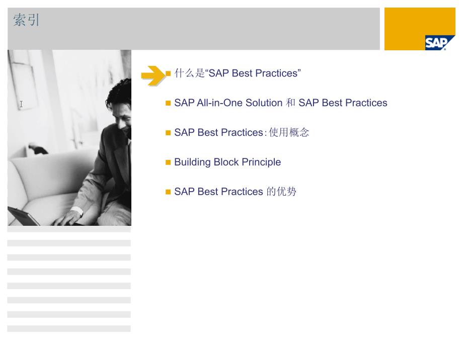SAP最佳实践介绍(中文版本)_第2页
