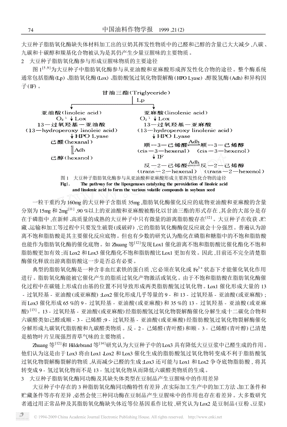 大豆种子脂肪氧化酶与豆制品产生豆腥味关系的研究进展_第2页