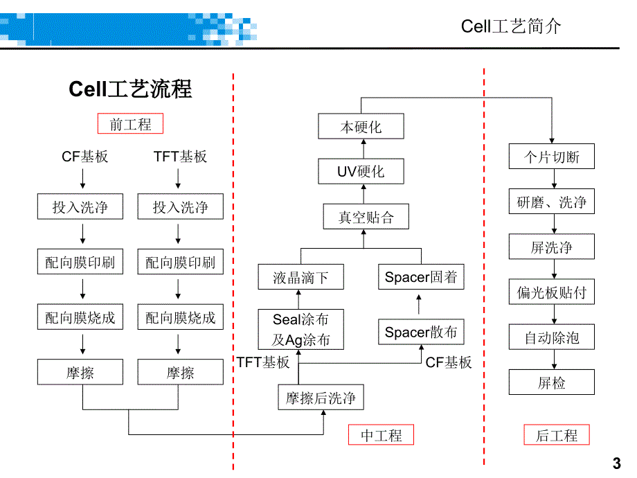 Cell工程工艺简介_第3页