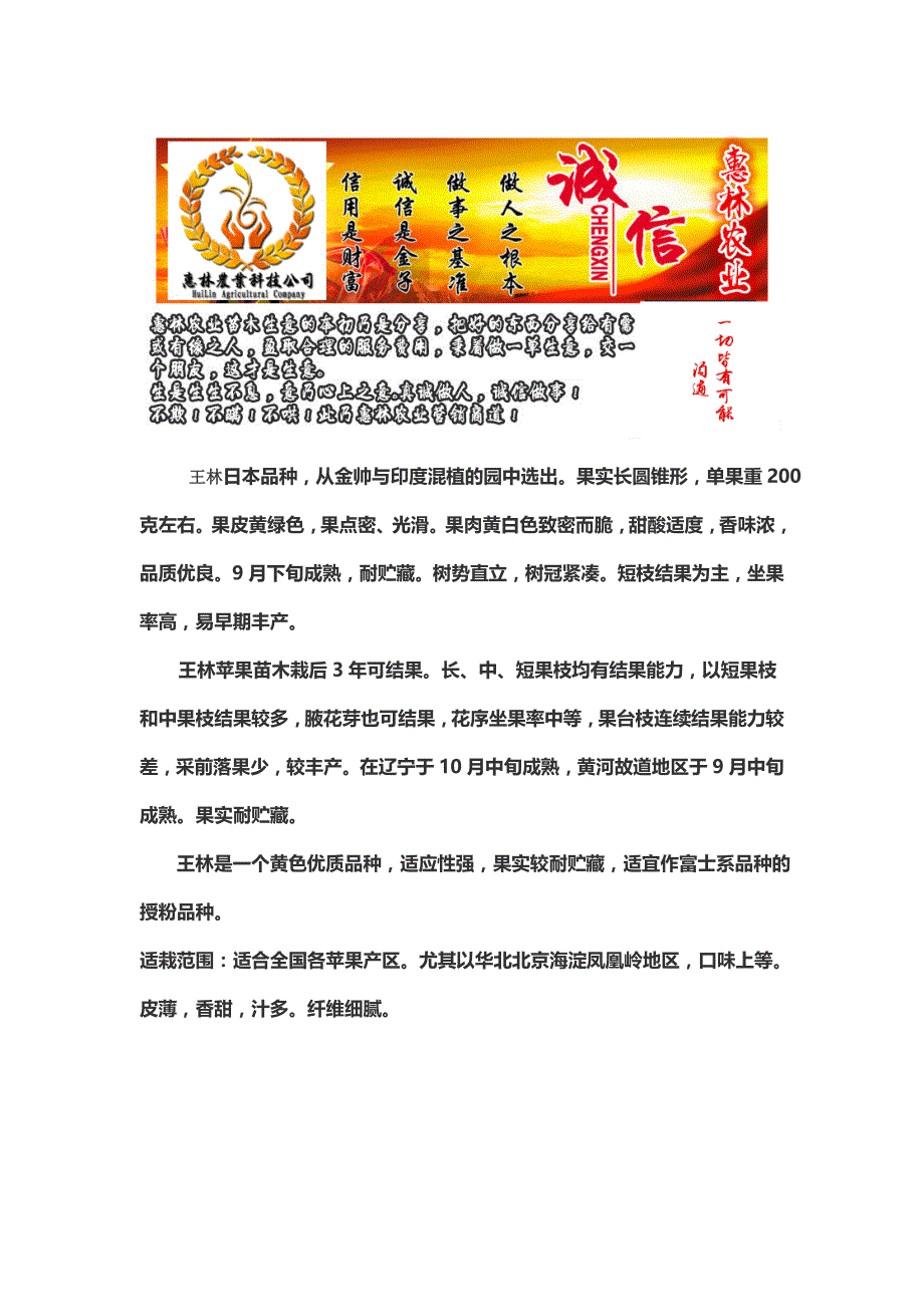 王林苹果树苗 苹果苗黄果品种_第1页