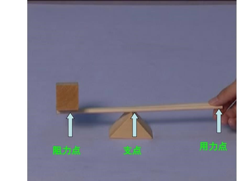 教科版小学六年级上科学第一单元复习_第5页