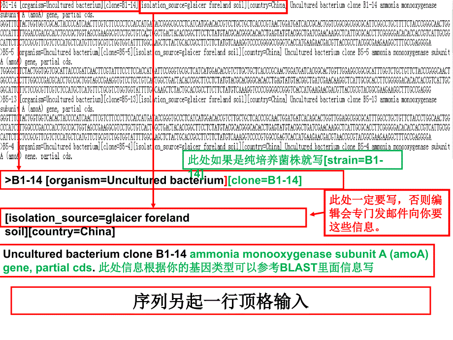 sequin软件序列提交_第4页