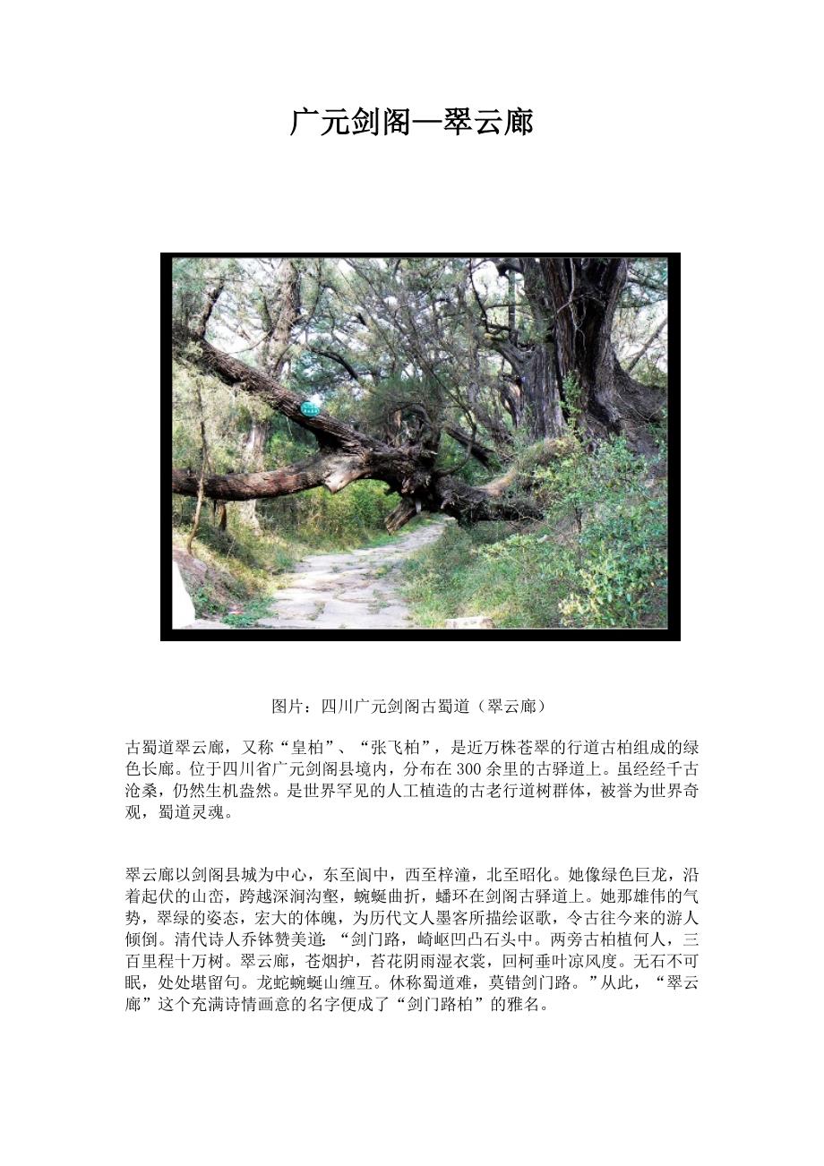广元剑阁—翠云廊doc_第1页
