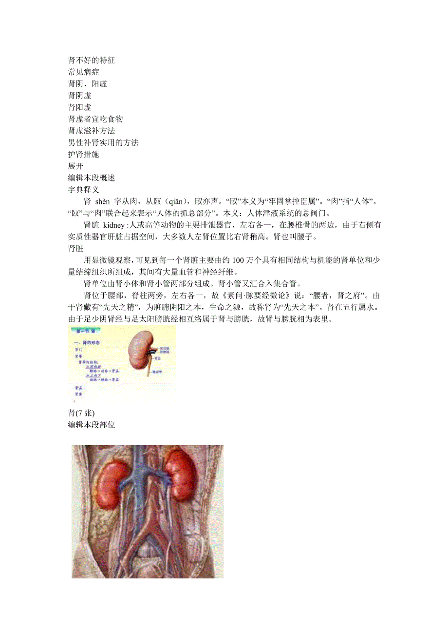 最全面的肾及肾的保健调理_第3页