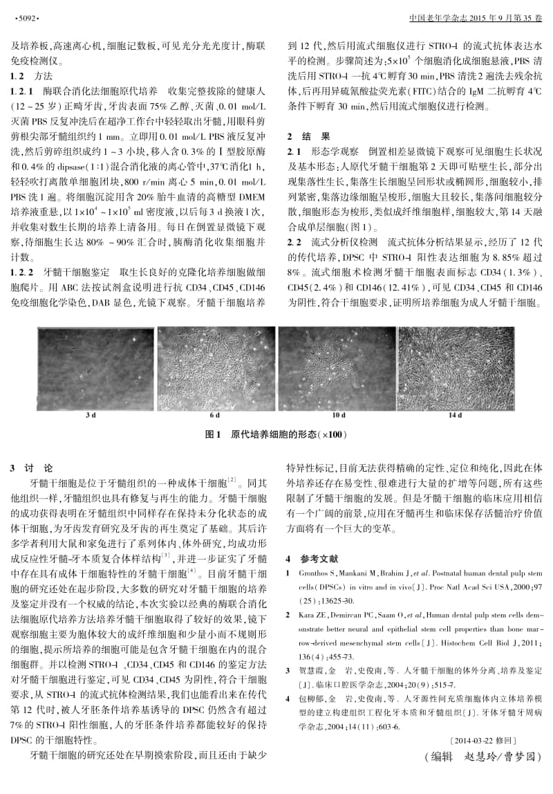 人牙髓干细胞的体外分离培养及表面标志鉴定_第2页