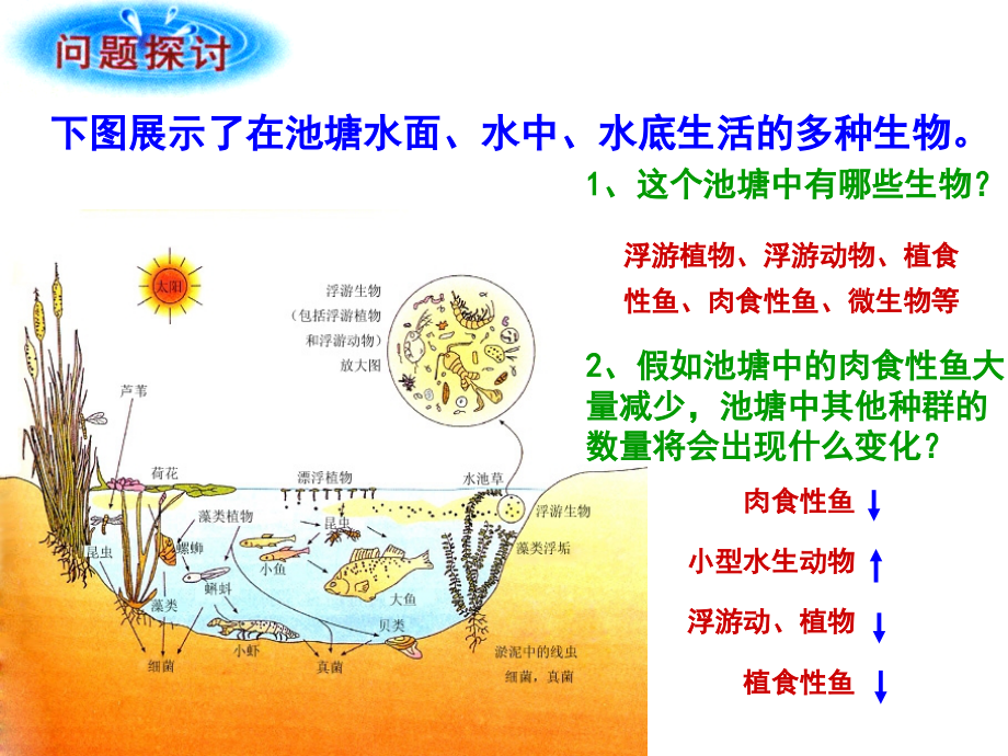 第4章种群和群落第3节群落的结构完成_第2页