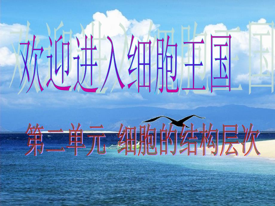 第一章 第一节练习使用显微镜_第1页