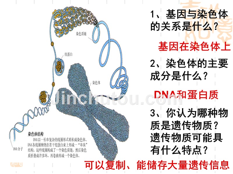 第一节DNA是主要遗传物质_第4页