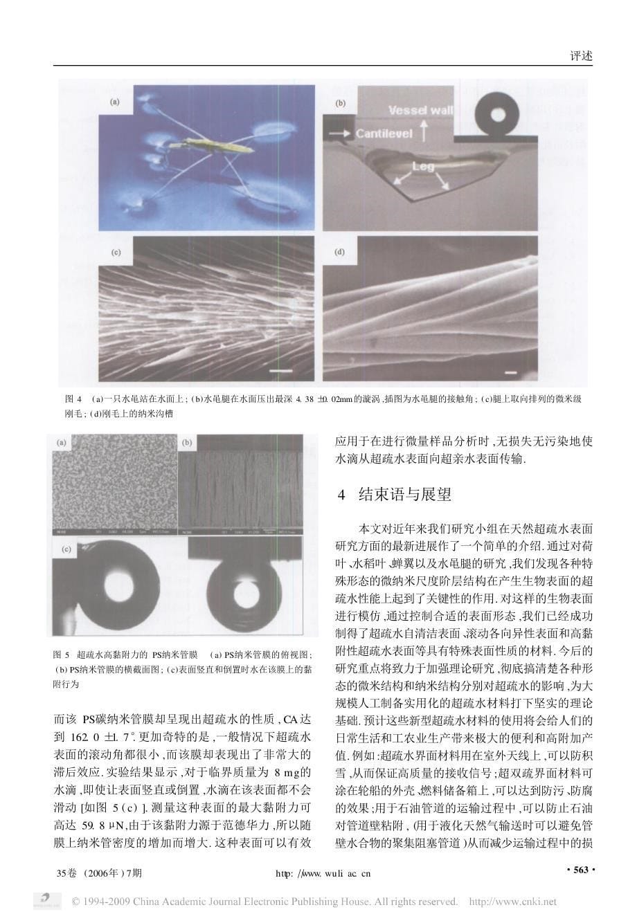 天然超疏水生物表面研究的新进展--joy_第5页