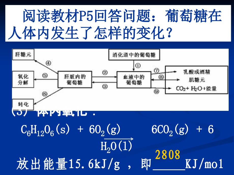 20080815高二化学生命的基础能源——糖类_第2页