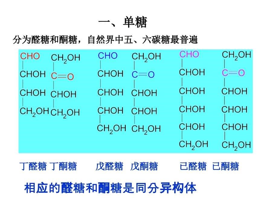 汪小兰有机化学课件(第四版)14碳水化合物_第5页