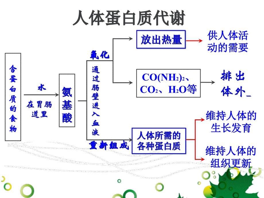 人教九年级化学(下)12.1《人类重要的营养物质》_第5页