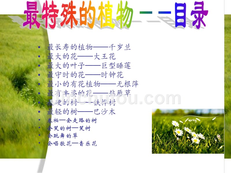 最特殊的植物_第3页