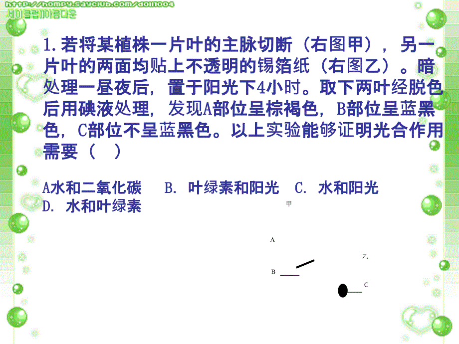 八年级会考复习植物的光合作用_第2页