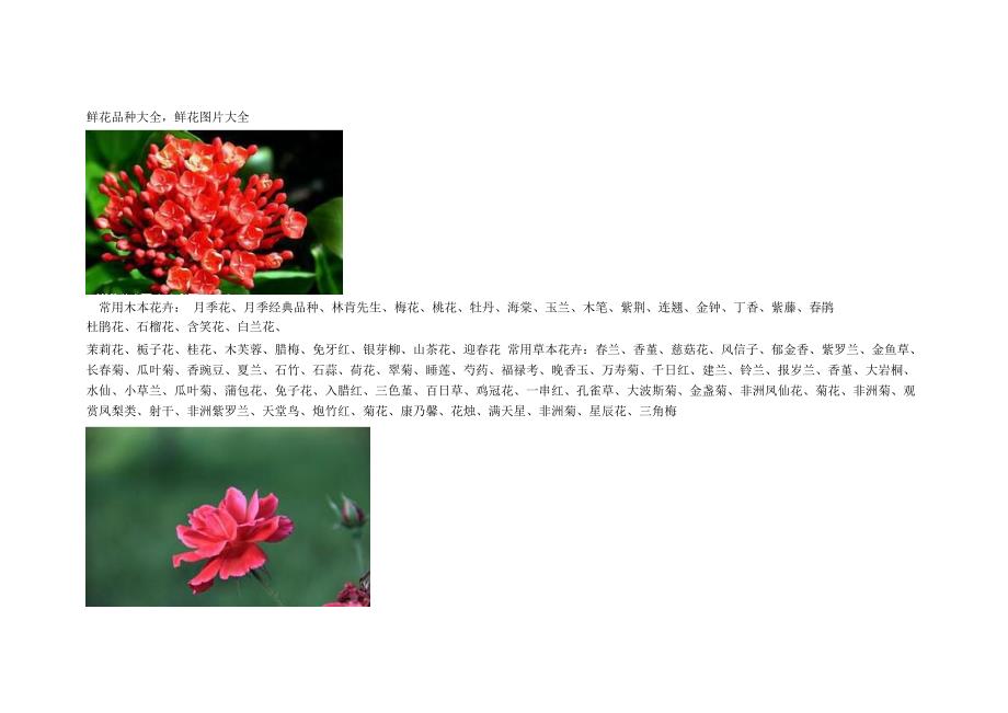 鲜花品种大全,鲜花图片大全_第1页