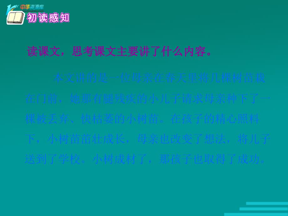 冀教版语文六年级上册《成全一棵树》课件1_第3页