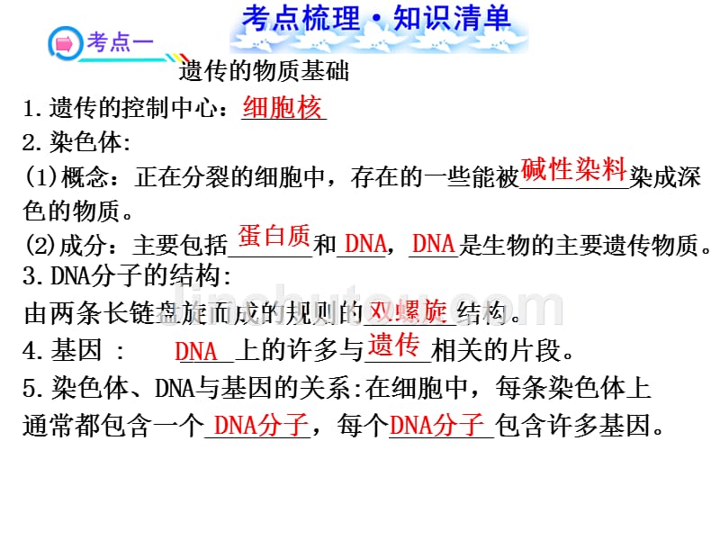 八年级生物遗传与变异复习课件_第2页