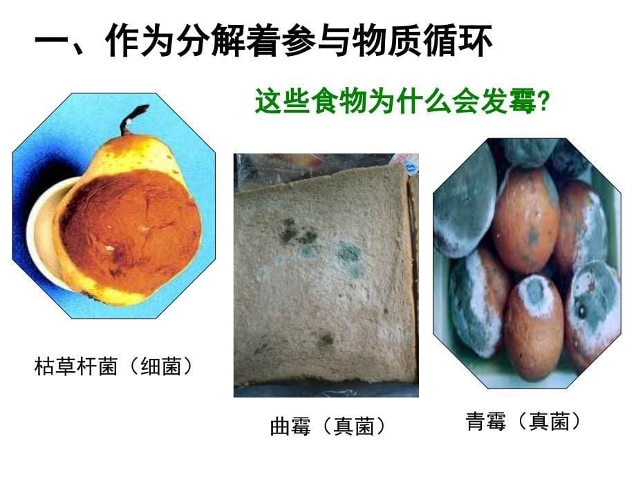 八年级第四章第四节_第5页