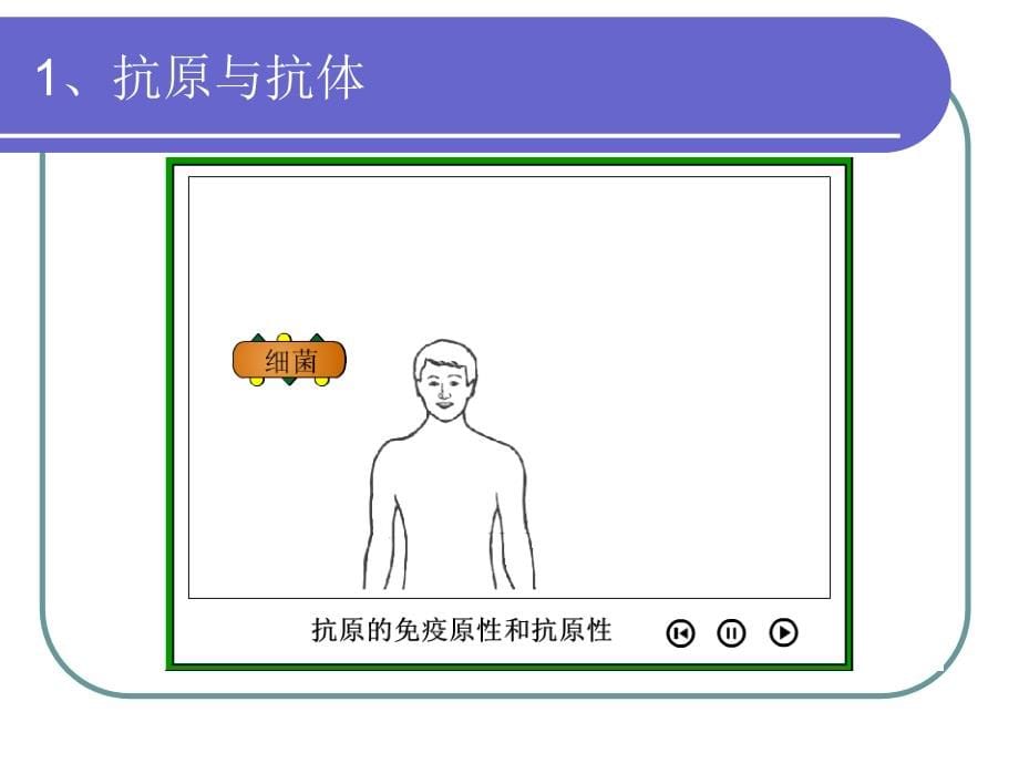 免疫比浊检验技术原理与进展_第5页