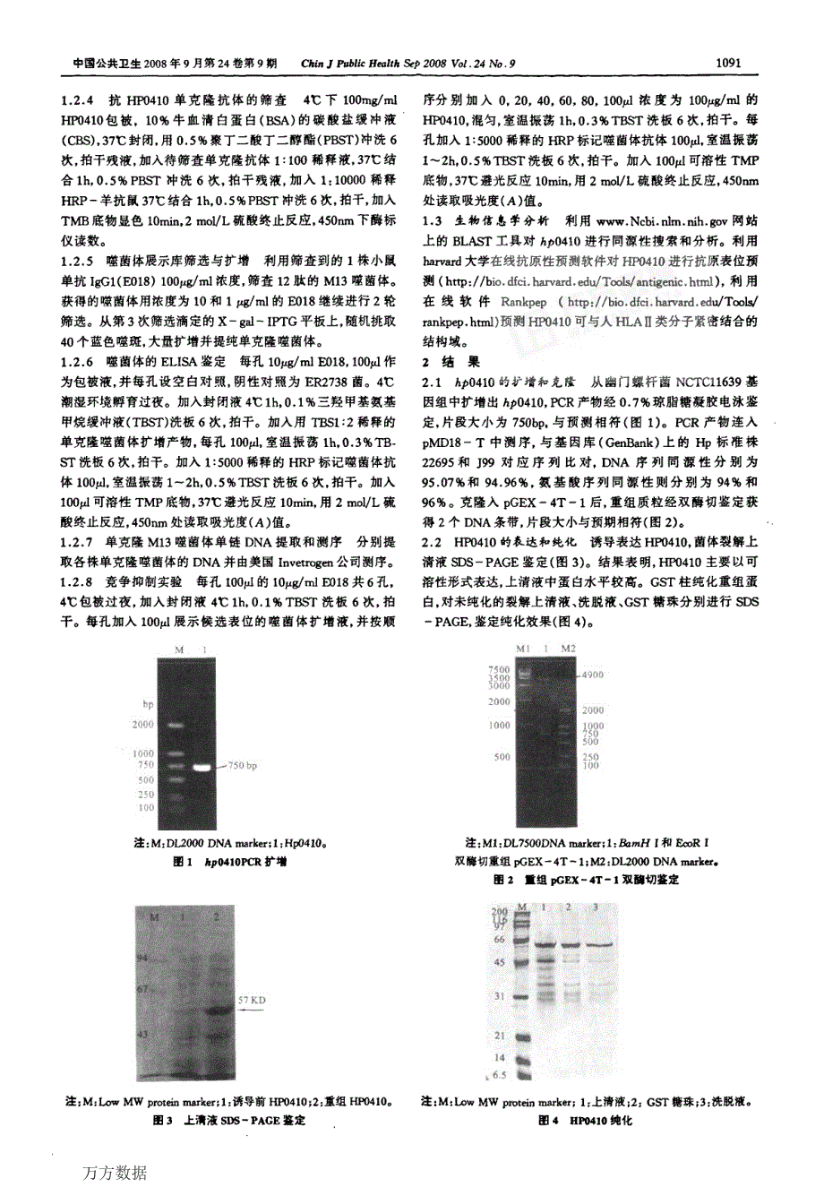 杆菌基因克隆表达及其抗原表位分析_第2页