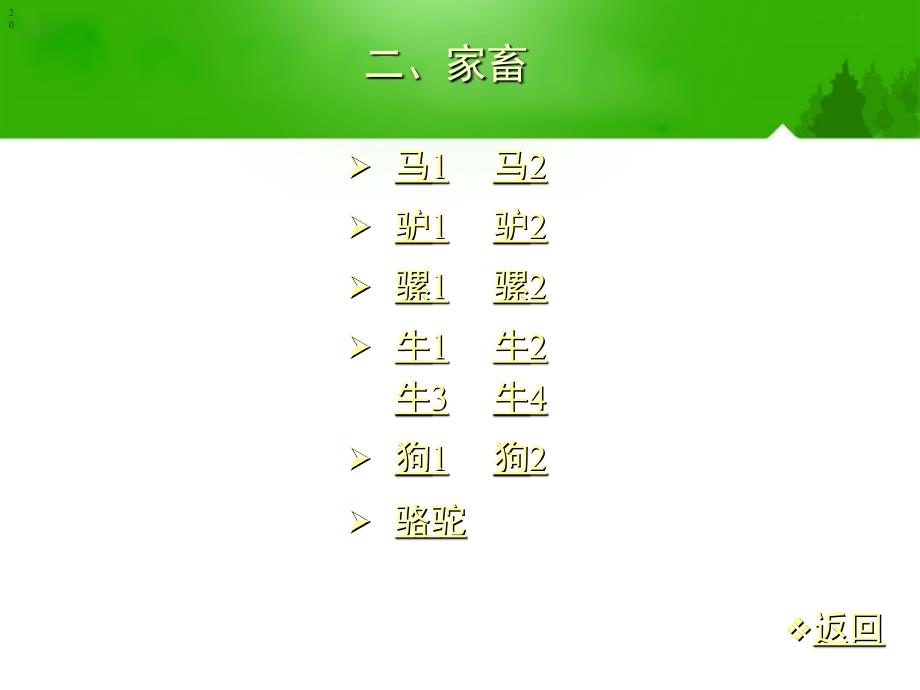 七年级生物上册 1-1-2调查我们身边的生物(1)课件 人教新课标版_第4页