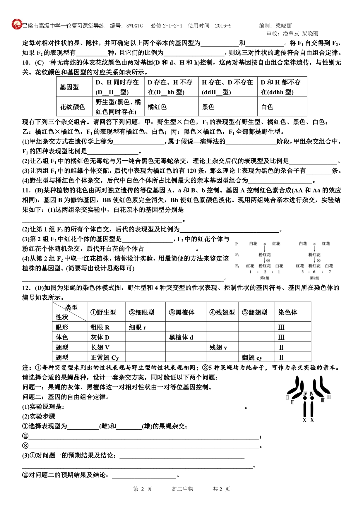 第五单元 第18讲 基因的自由组合定律(第四课时)(A、B训练卷)_第2页