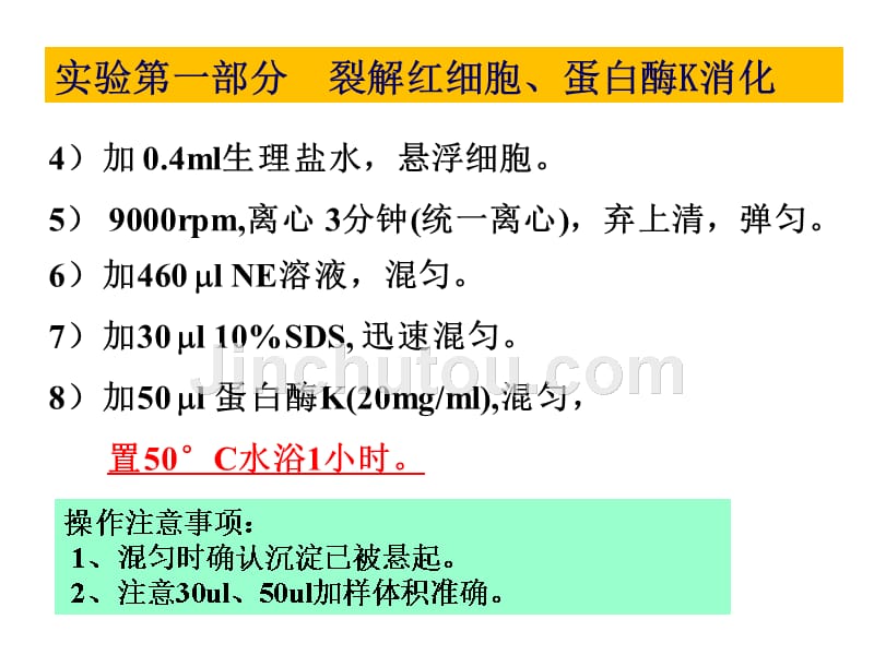 2.真核生物基因组DNA的提取电泳_第4页