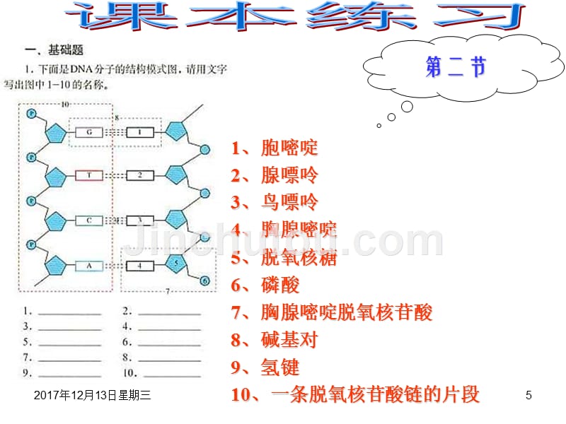 高一生物基因的本质_第5页