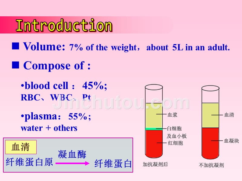 04血液和血细胞发生Bloodandheamopoiesis_第3页