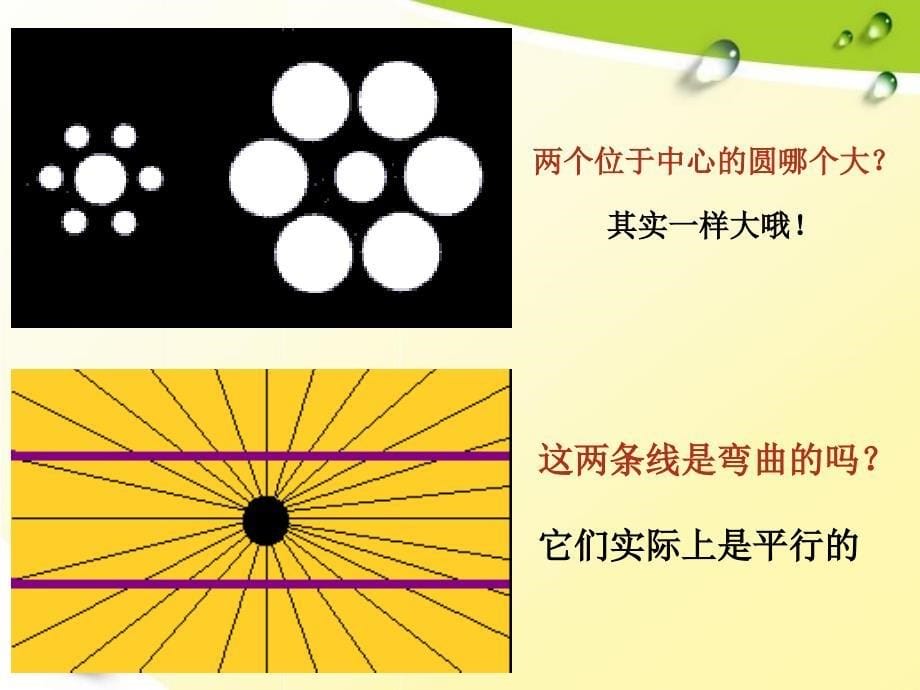 现象本质与明辨是非_第5页