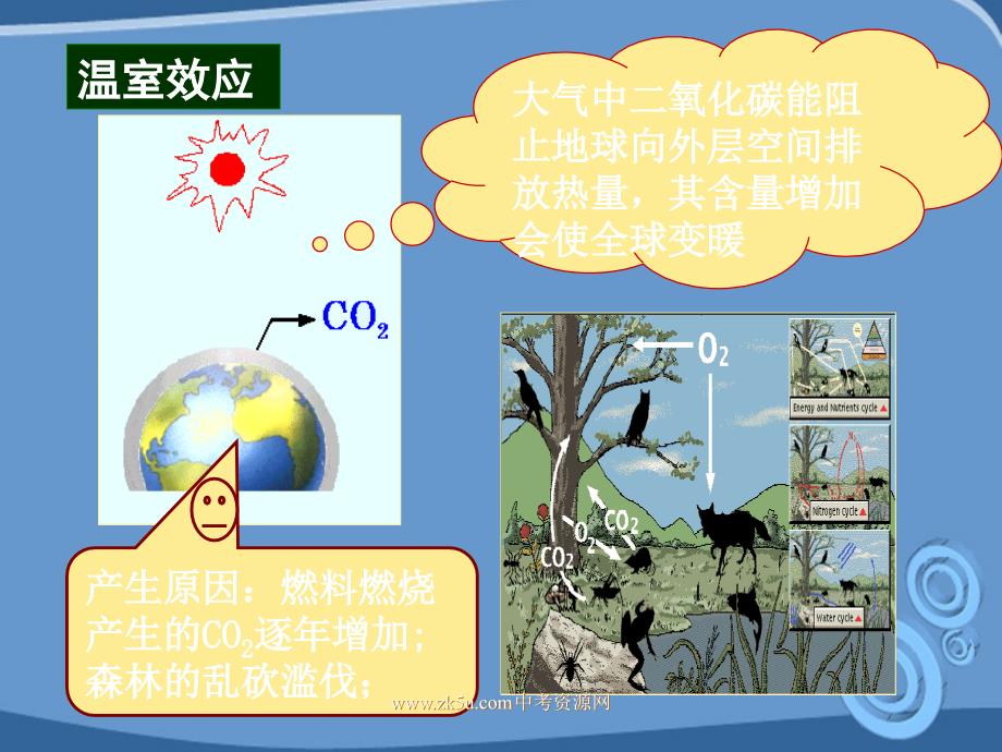 九年级化学 4.1《二氧化碳的性质》课件 北京课改版_第4页
