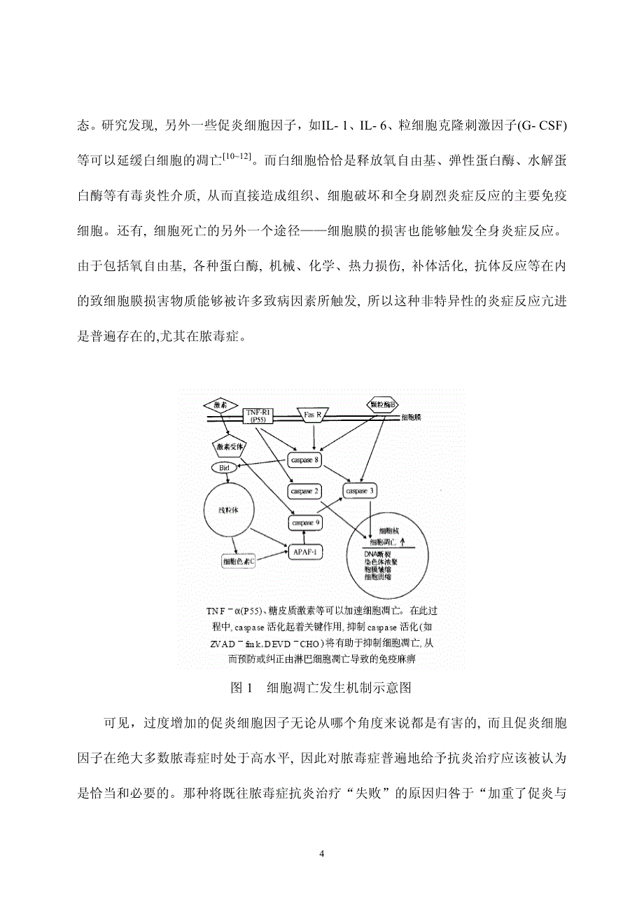 创伤后免疫功能紊乱的调理措施_第4页