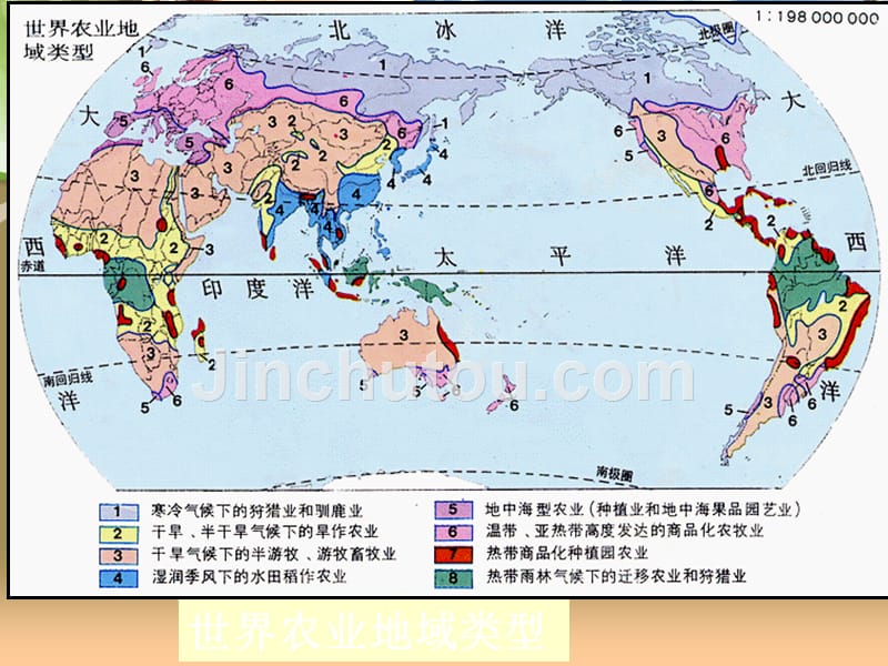 世界农业生产分布和贸易_第4页