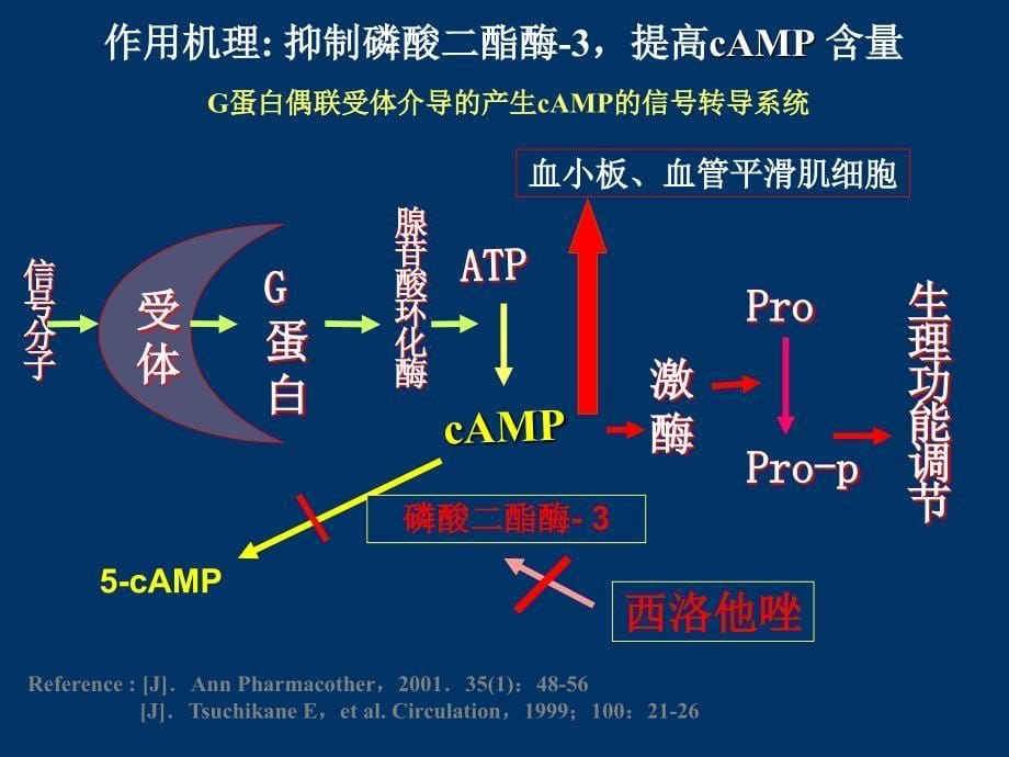 西洛他唑幻灯片-北京_第5页