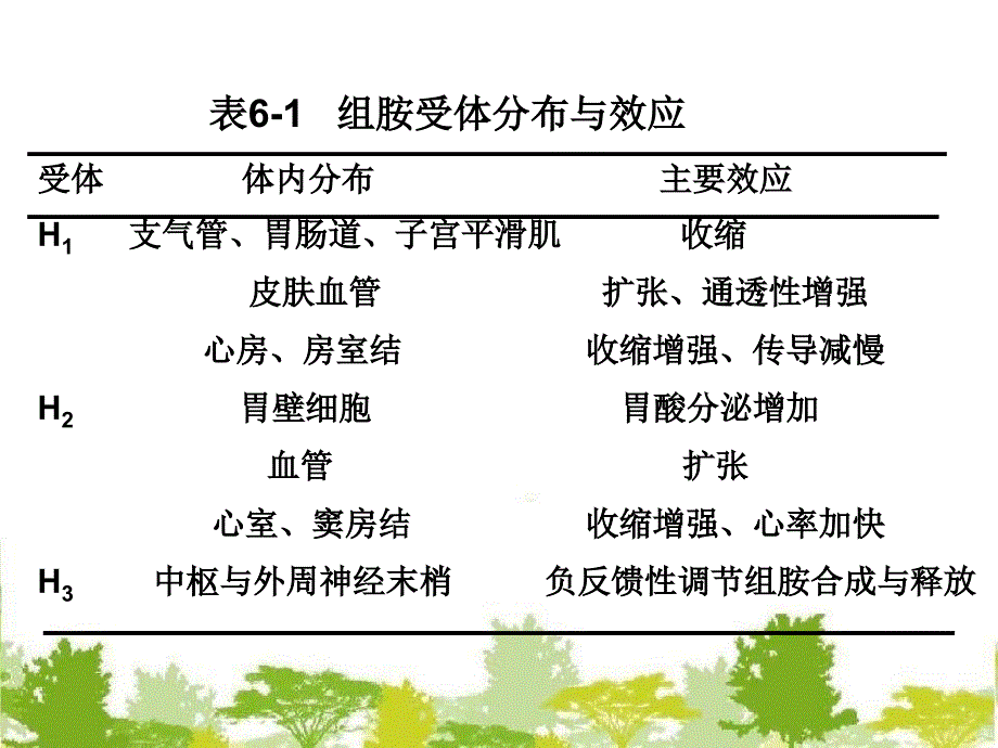 6.第六章_抗变态反应药及合理用药_第4页